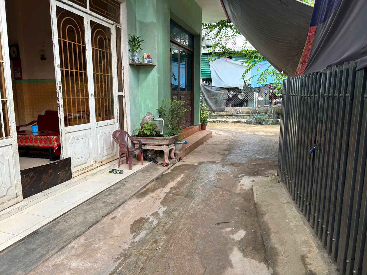 giá bồng sơn hoài nhơn giá rẻ